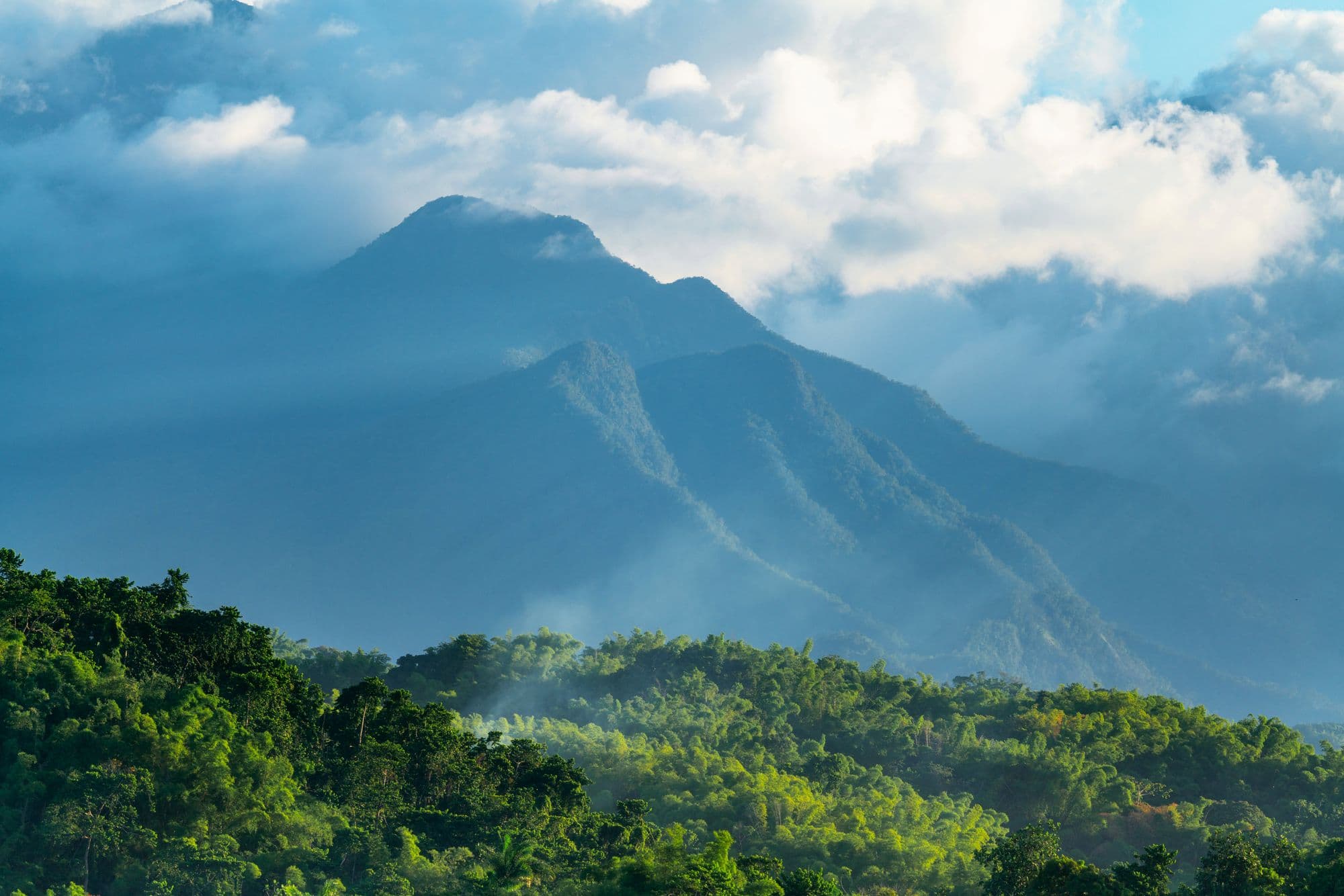 Misty green mountains in rural Jamaica